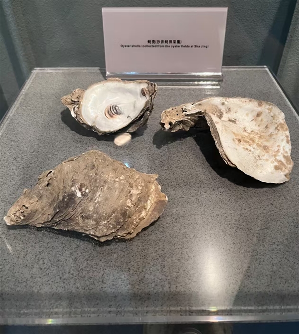 體育博彩：展品過於接地氣！網友玩梗稱深圳博物館“不怕被盜”